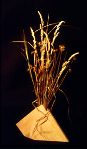 Grassbox Ikebana vase